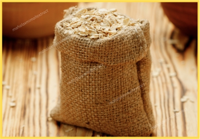 malt extract suppliers | barley malt suppliers